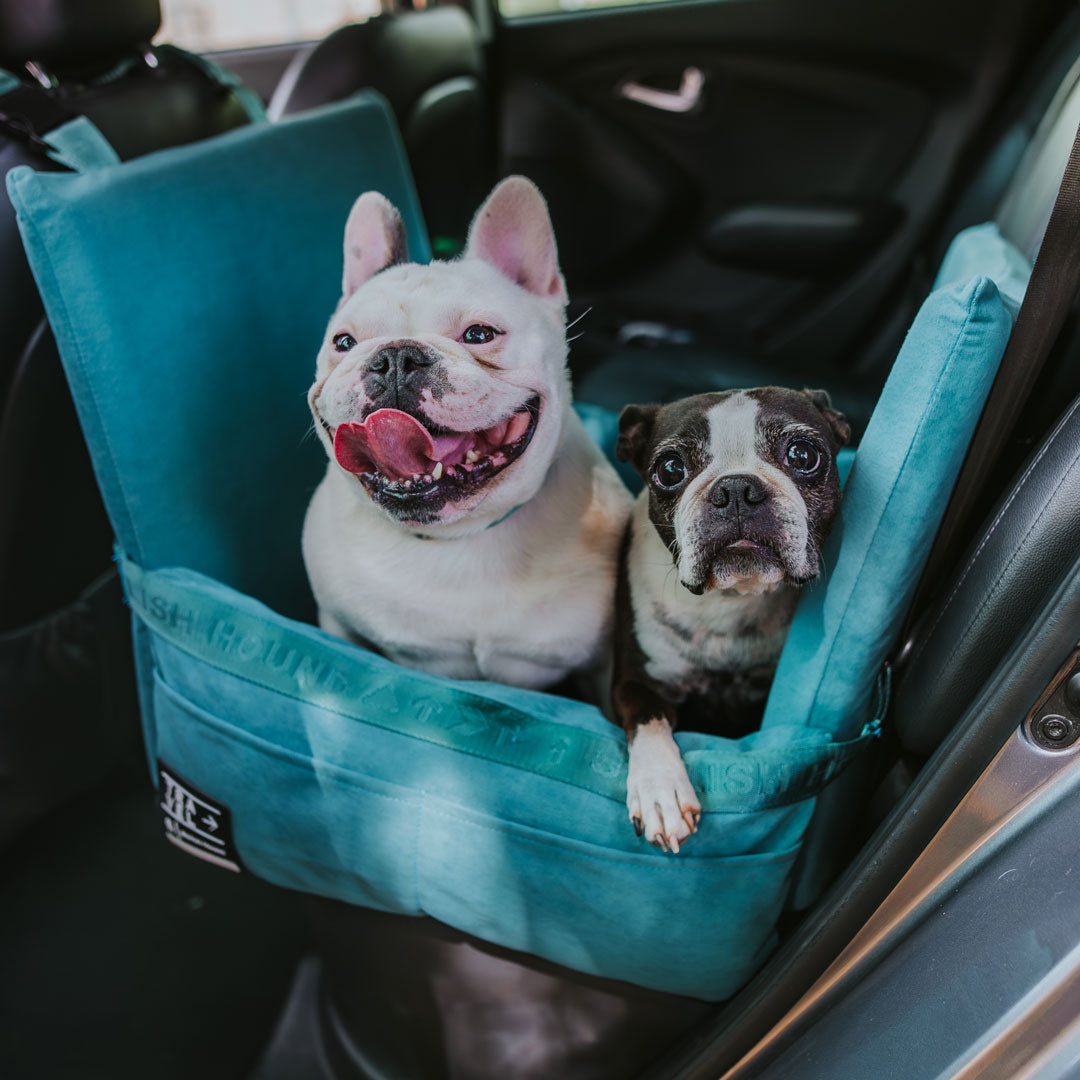 Car Seat and Travel Home Teal + Isofix Safety Belt