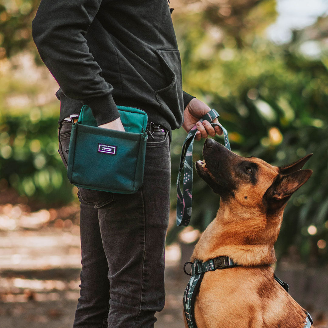 OG Training Treat Pouch