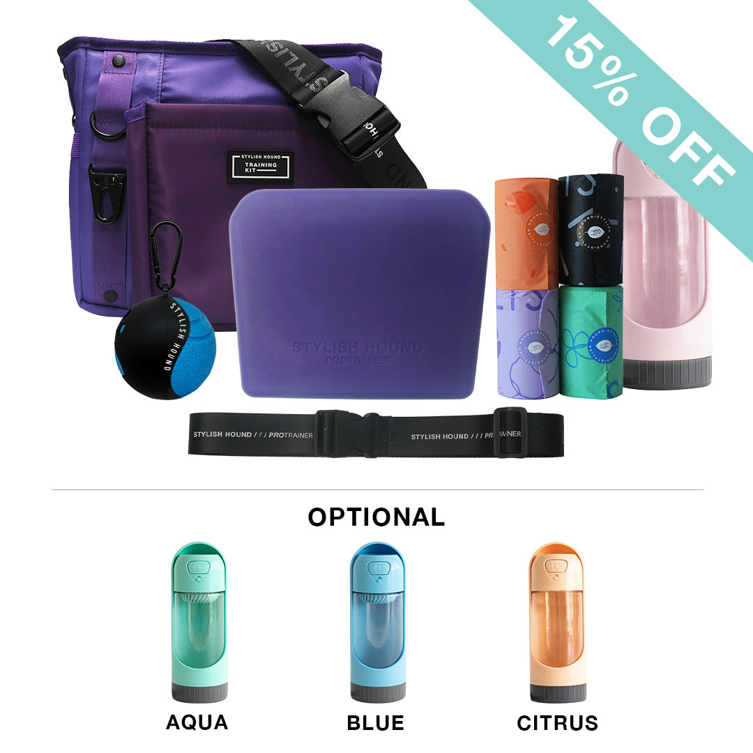 Elite Trainer Kit - Purple