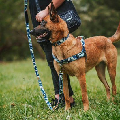 Personalised No-Pull Harness