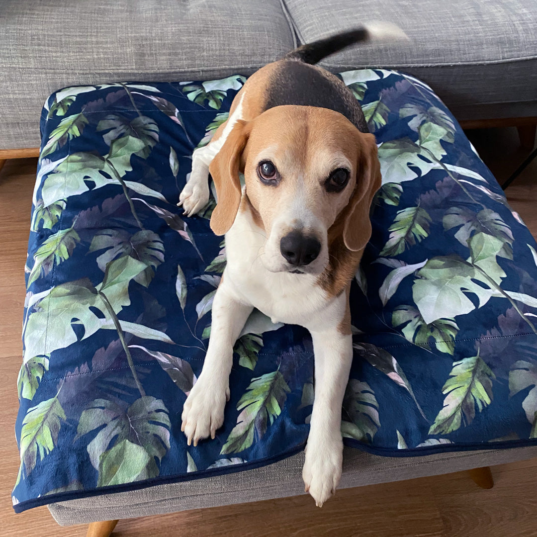 Eden Crate Blanket - Eden