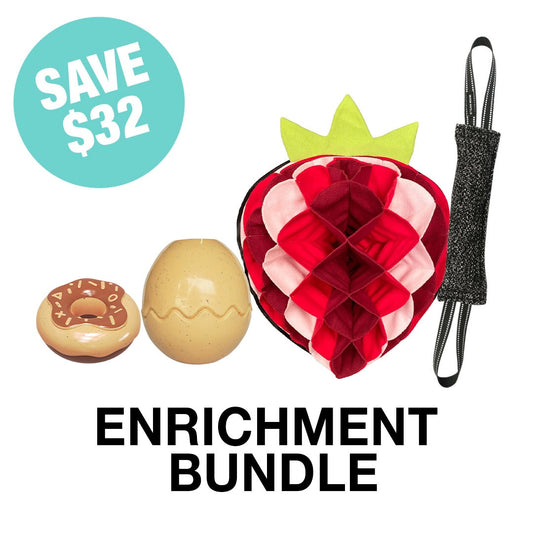 Enrichment Bundle (PRE-ORDER)