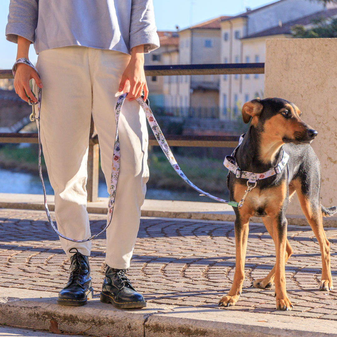 Evergreen Multi-Function Leash - Evergreen