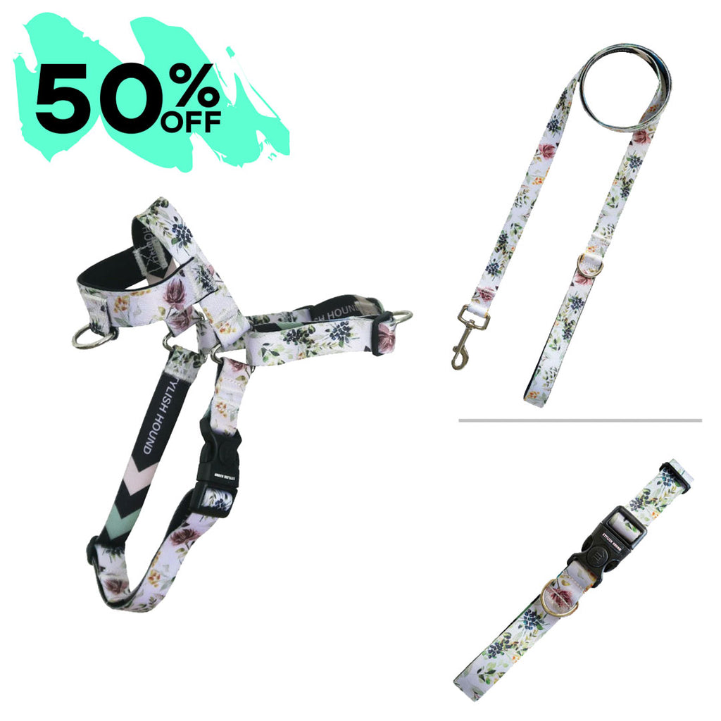 Evergreen OG Harness Bundle