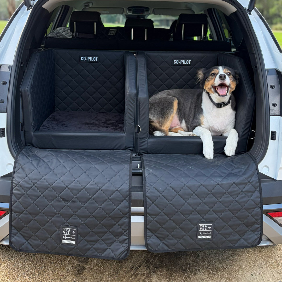 Dog Car Back Seat & Boot Seat