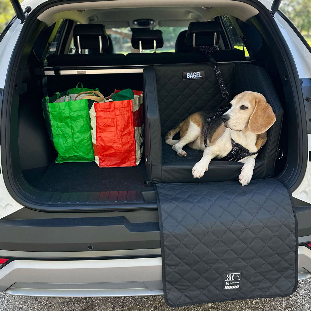 Dog Car Back Seat & Boot Seat
