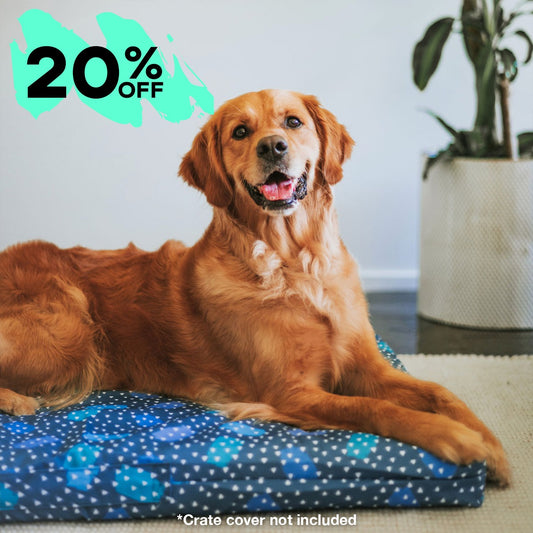 Mattress & Mattress Cover - SALE