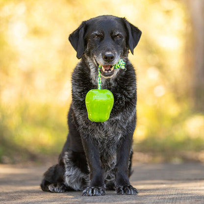 Green Apple Toy Power Chew