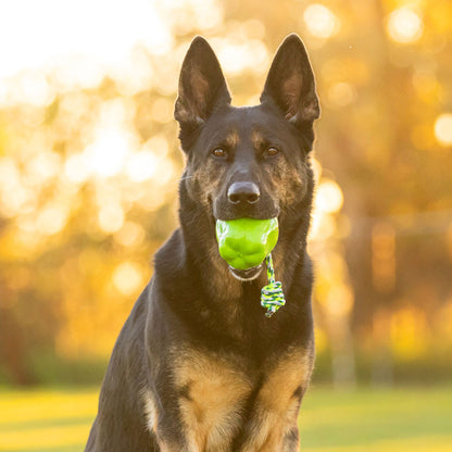 Green Apple Toy Power Chew
