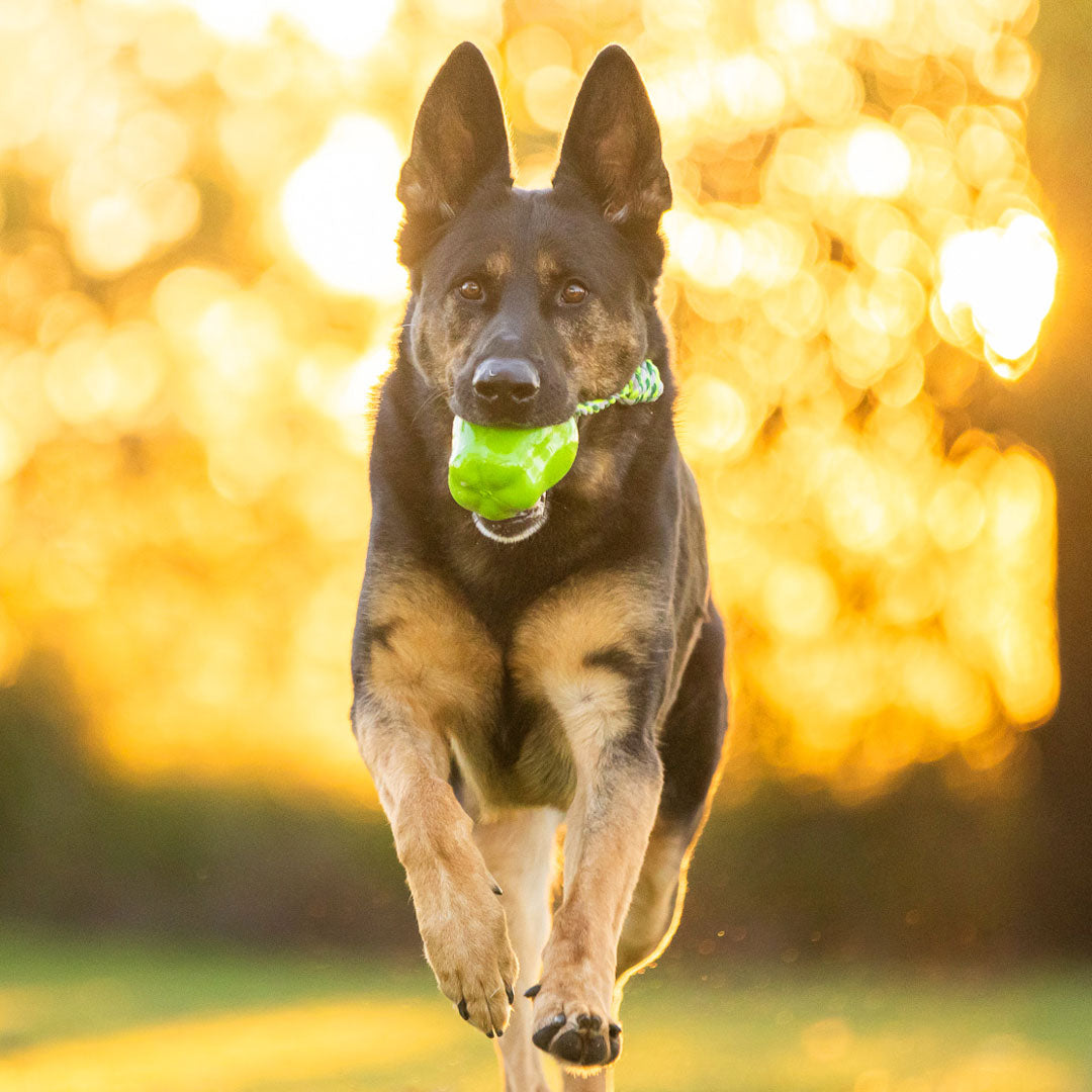 Green Apple Toy Power Chew
