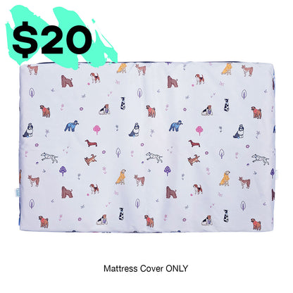 Matching Mattress & Mattress Cover
