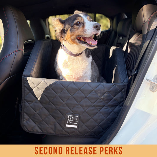 Dog Car Back Seat & Boot Seat