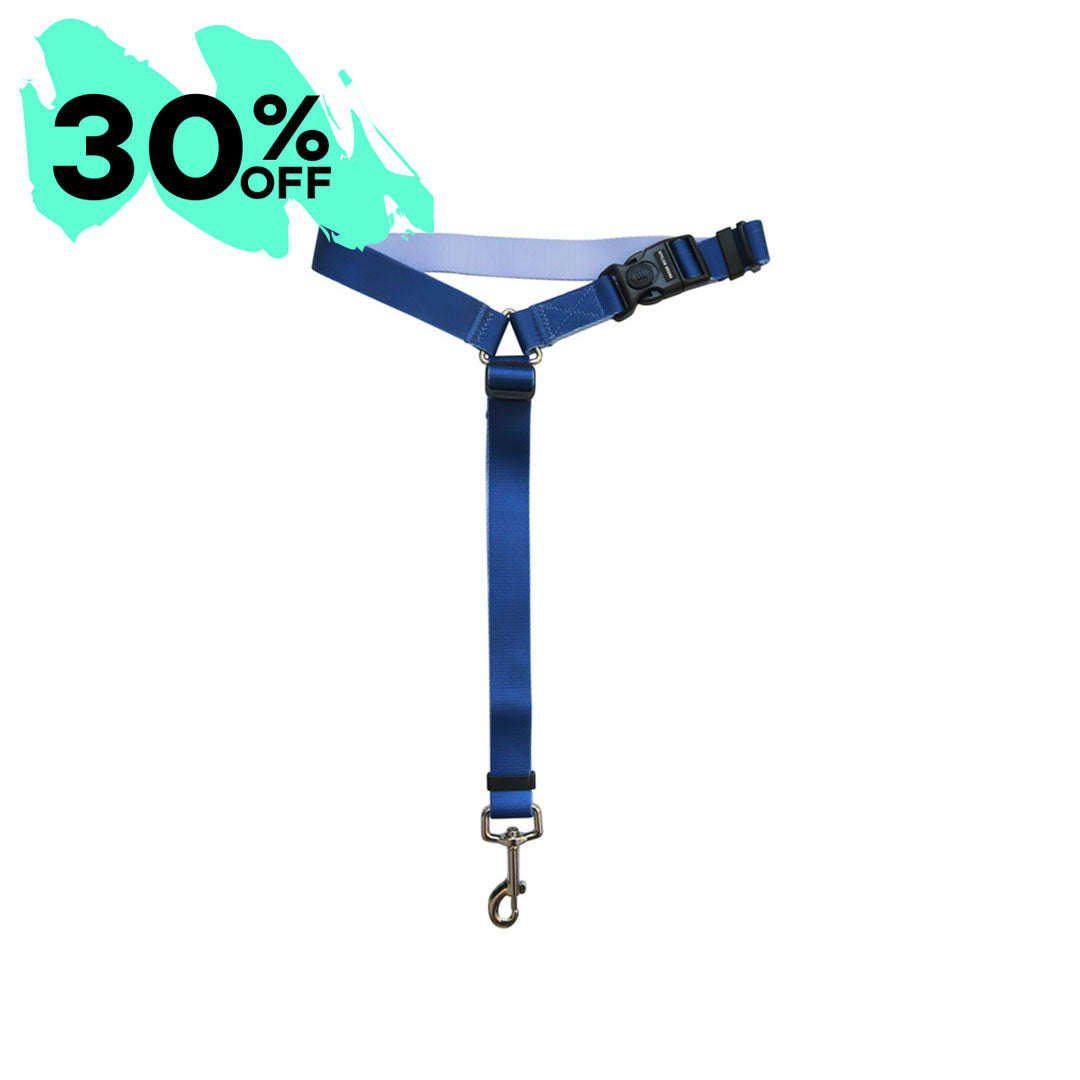 Horizon Headrest - Horizon