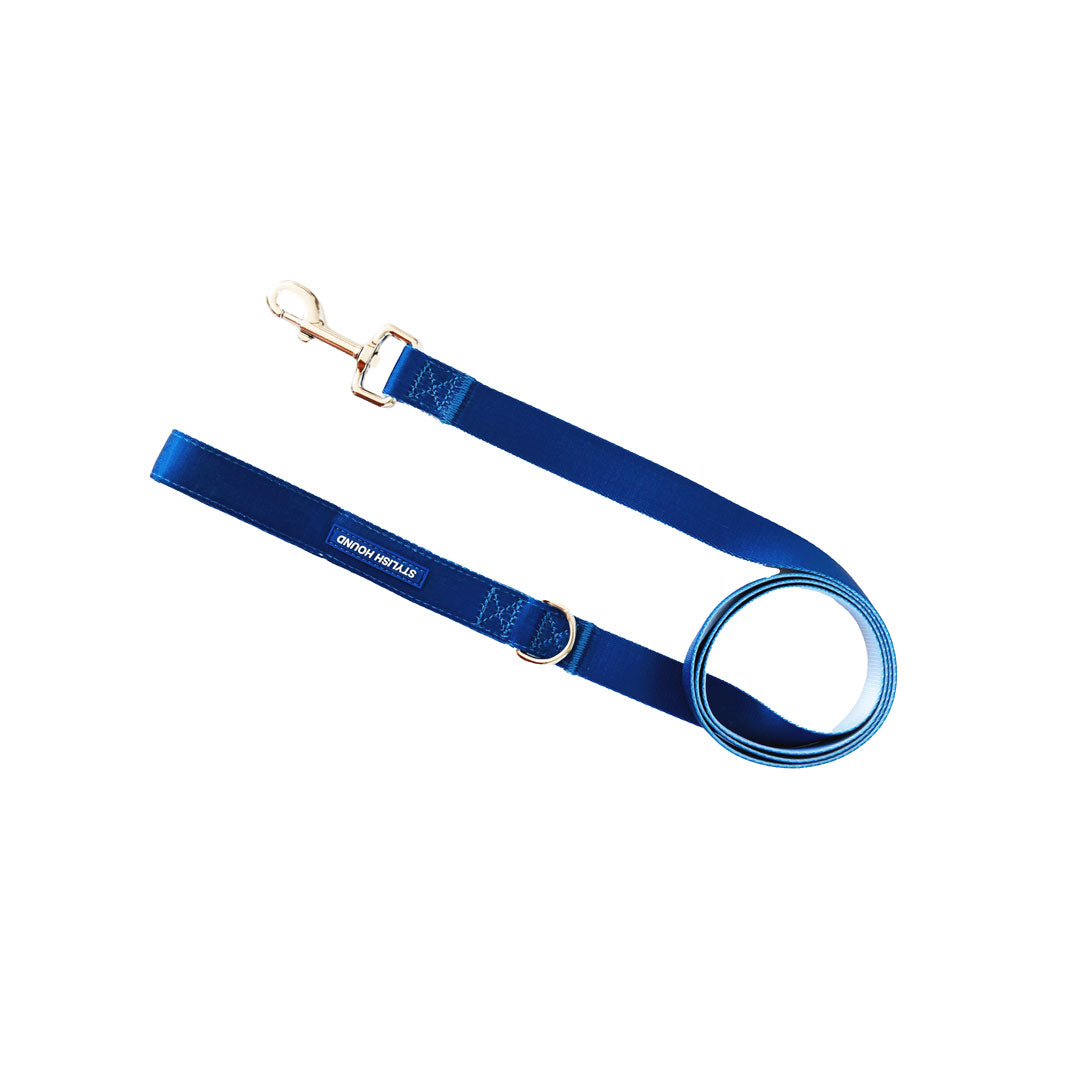 Horizon Leash - Horizon