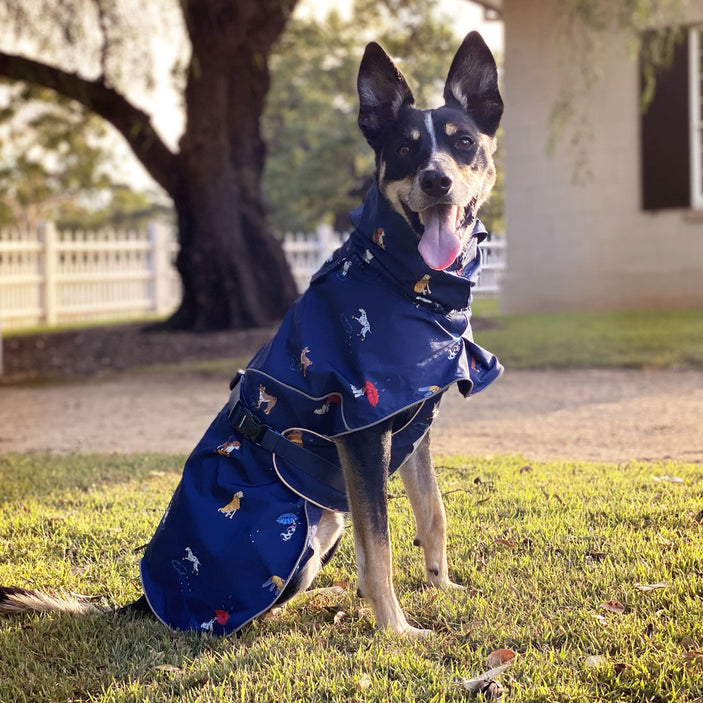 Dog Raincoat