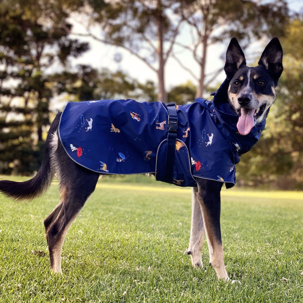 Dog Raincoat