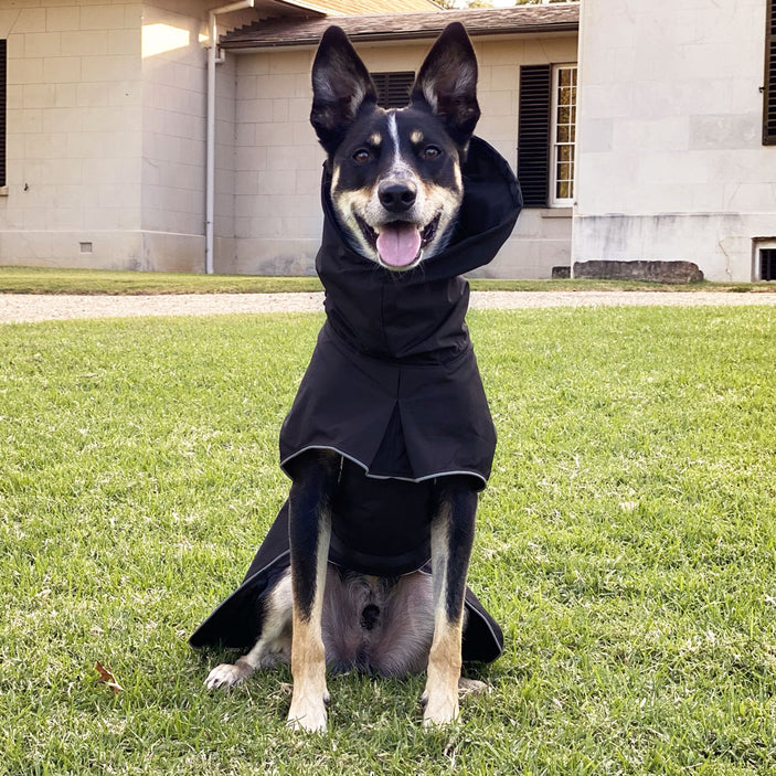 Black Raincoat