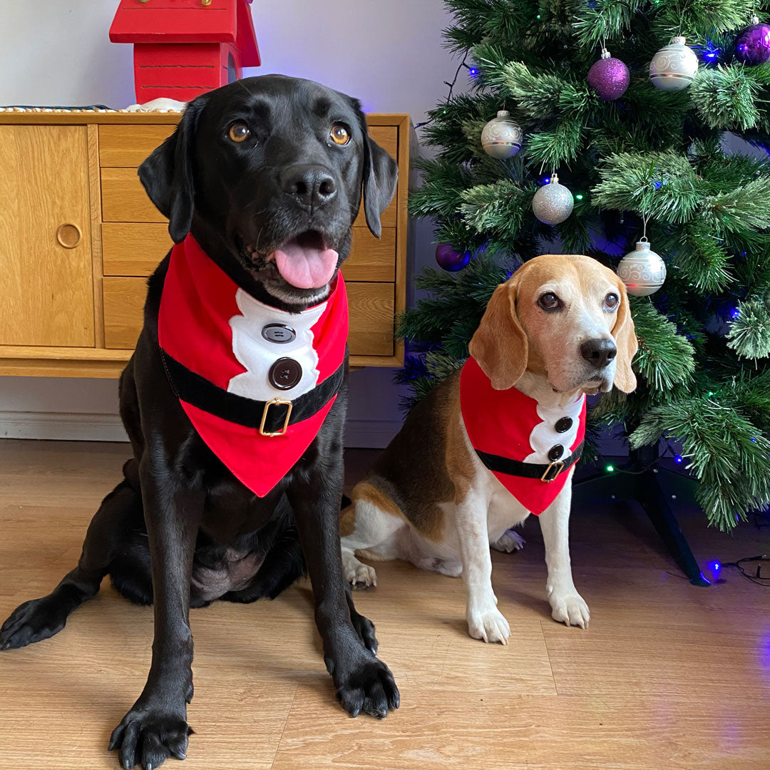 Santa Bandana