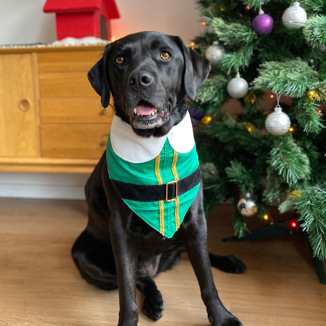 Buddy The Elf Bandana