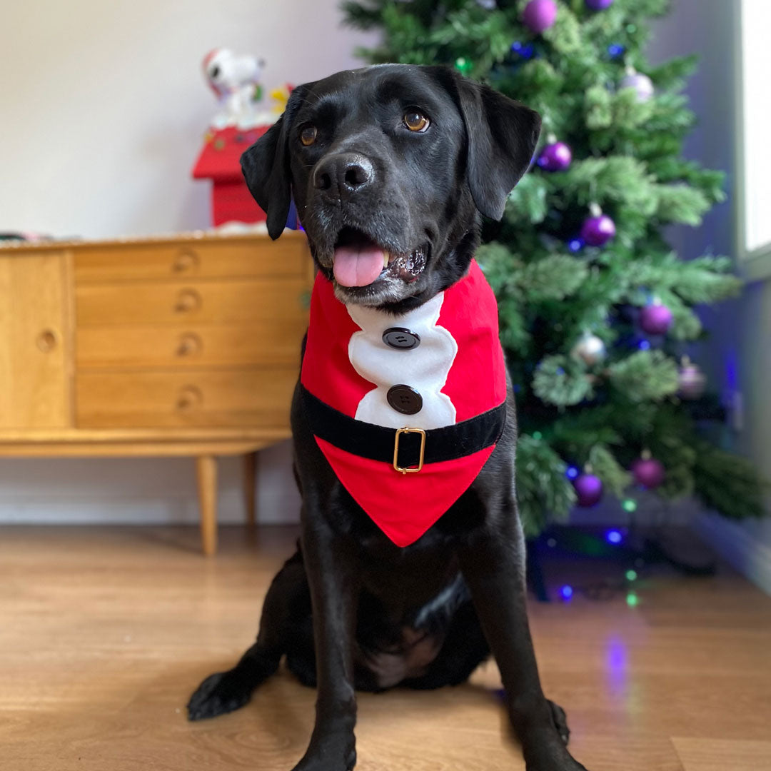 Santa Bandana