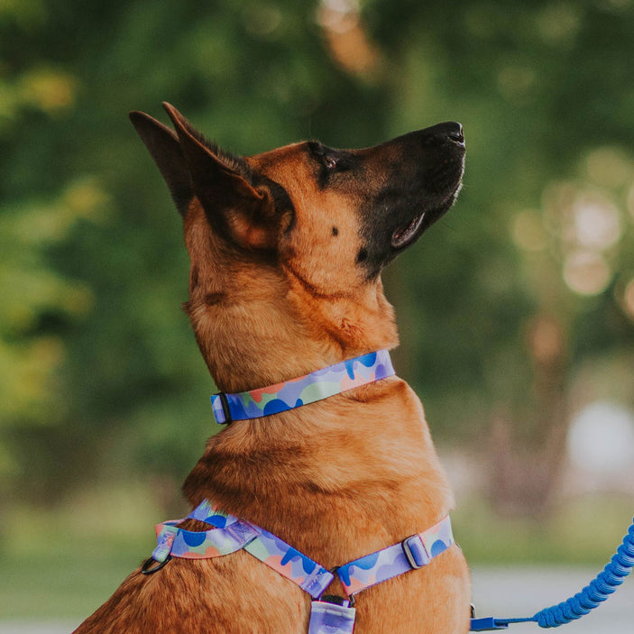 Luna Collar - Luna