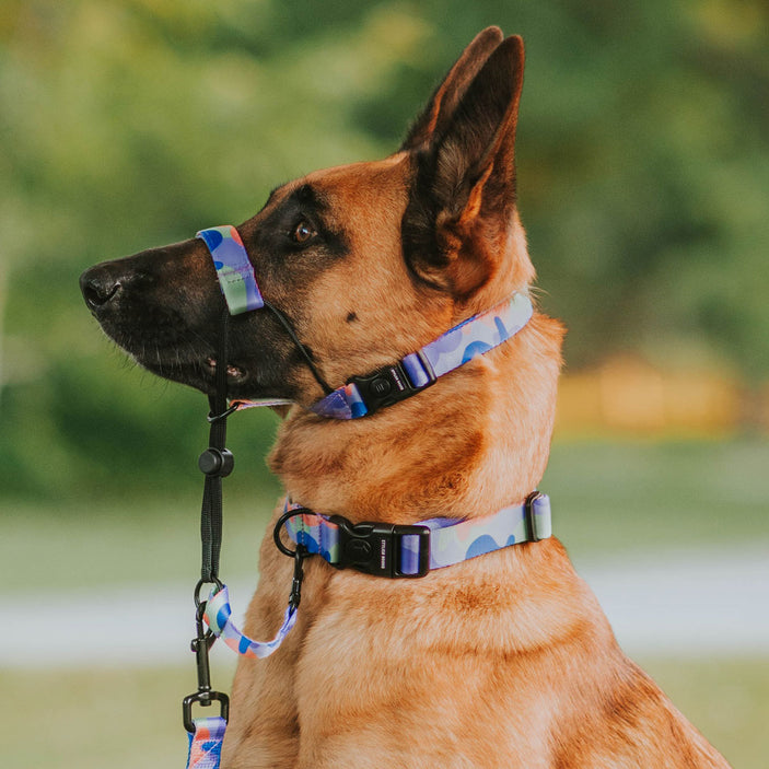 Luna Collar