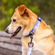Luna Collar - Luna