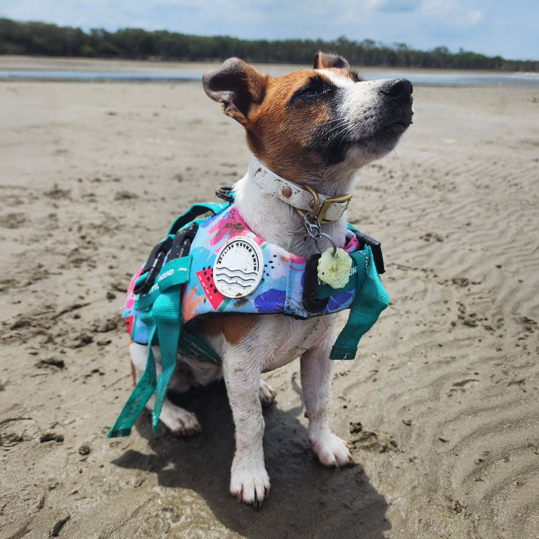 Miami Swim Jacket - Miami