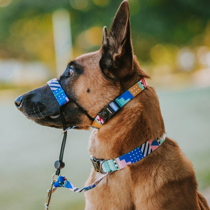 Milano Collar - Milano