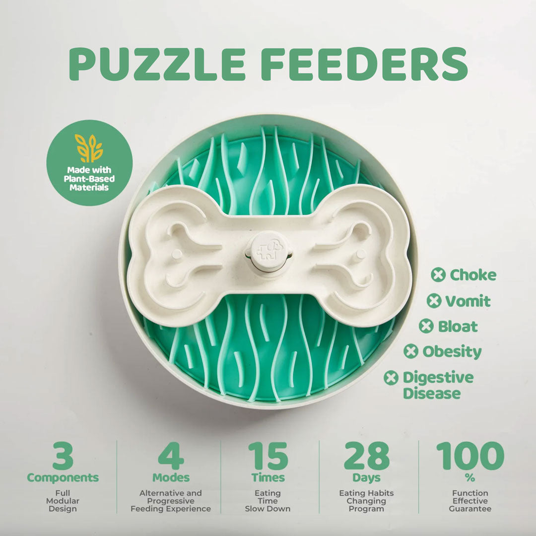 Green Puzzle Feeder Bowl