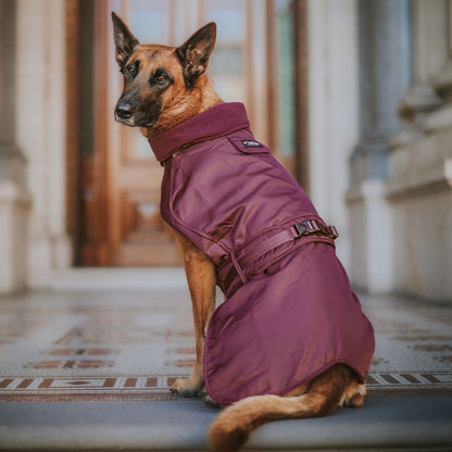 Mulberry Trench Coat
