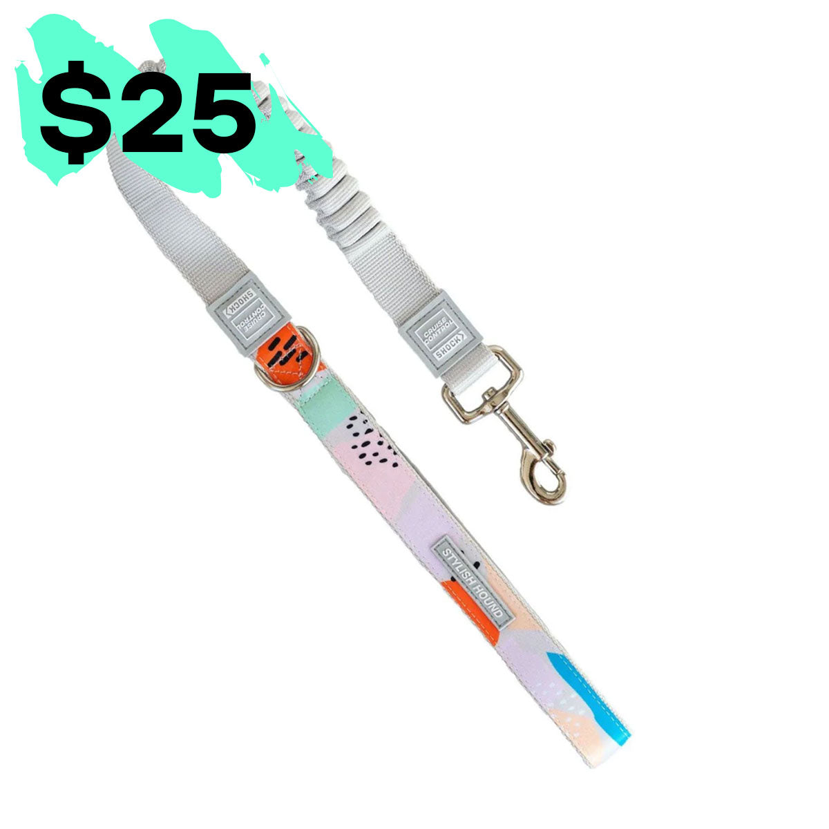 $25 Cruise Control Obedience Leash