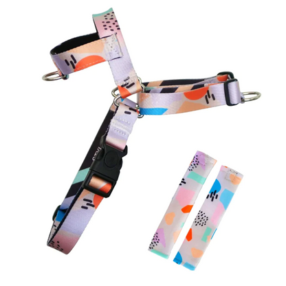 OG No-Pull Training Harness