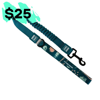 Nova CC Leash - Nova