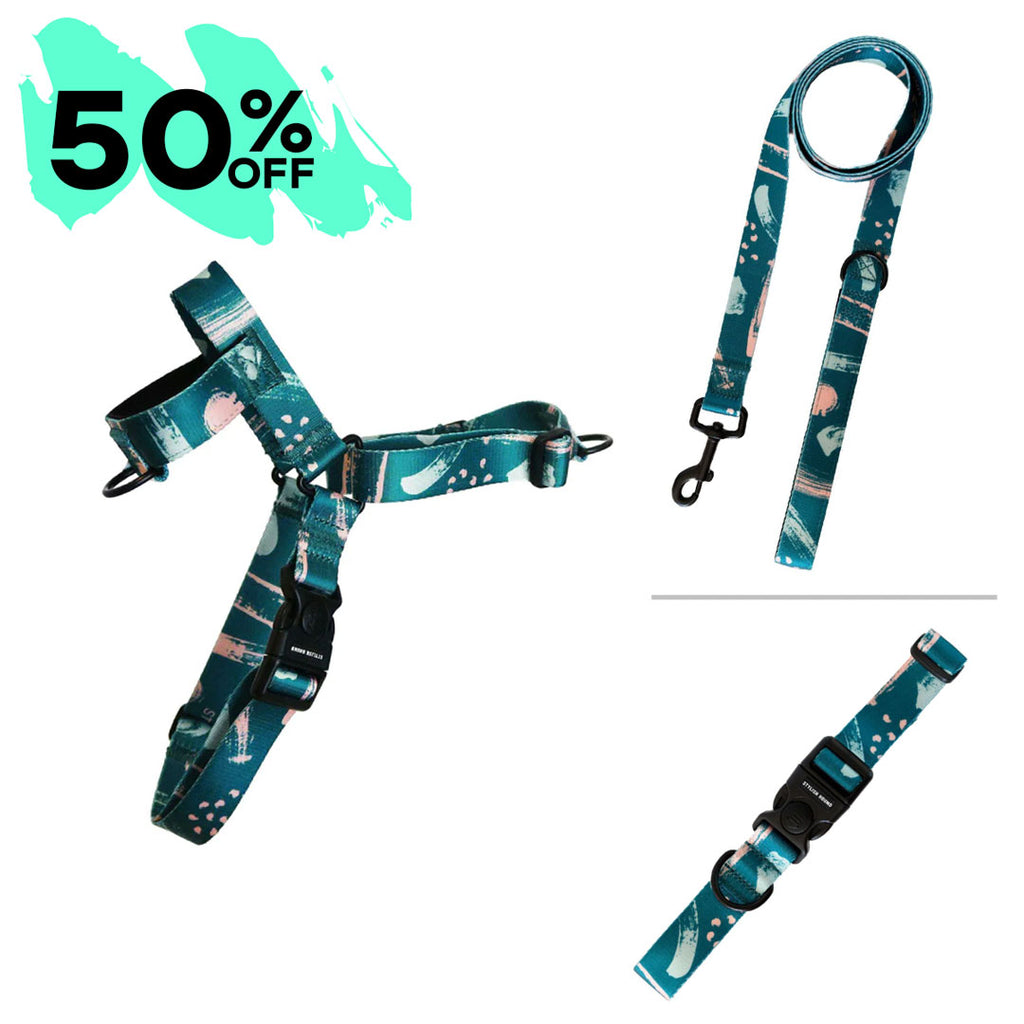 Nova OG Harness Bundle