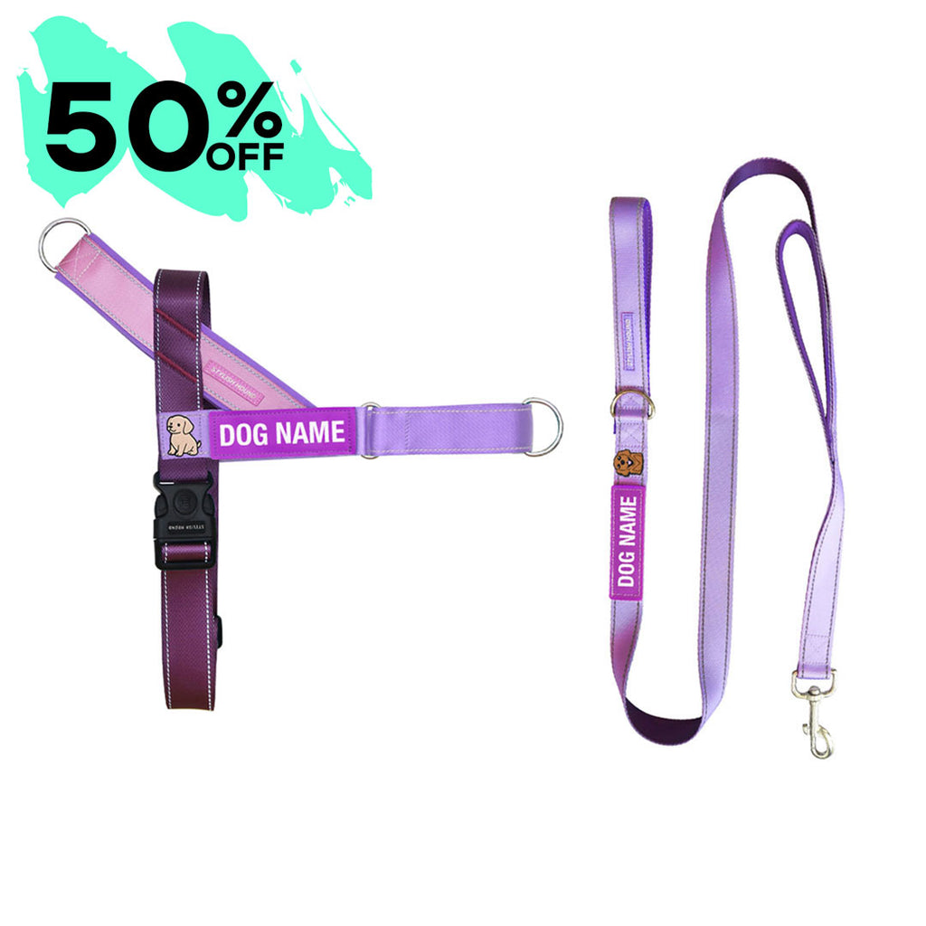 Berry Personalised No-Pull Harness