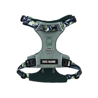 Sage Eden Odyssey Harness