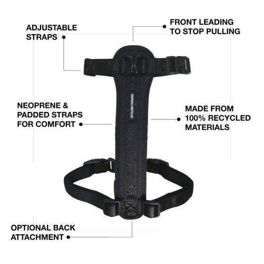 Explorer Chest Plate - SALE