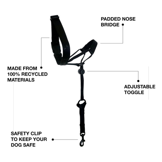 Halter + Safety Clip - SALE