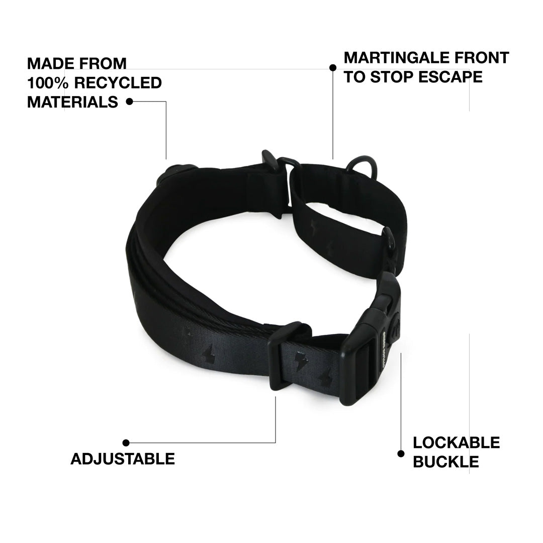 Martingale Training Collar