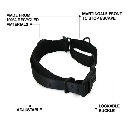 Martingale Training Collar