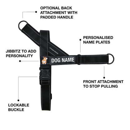 Personalised No-Pull Harness