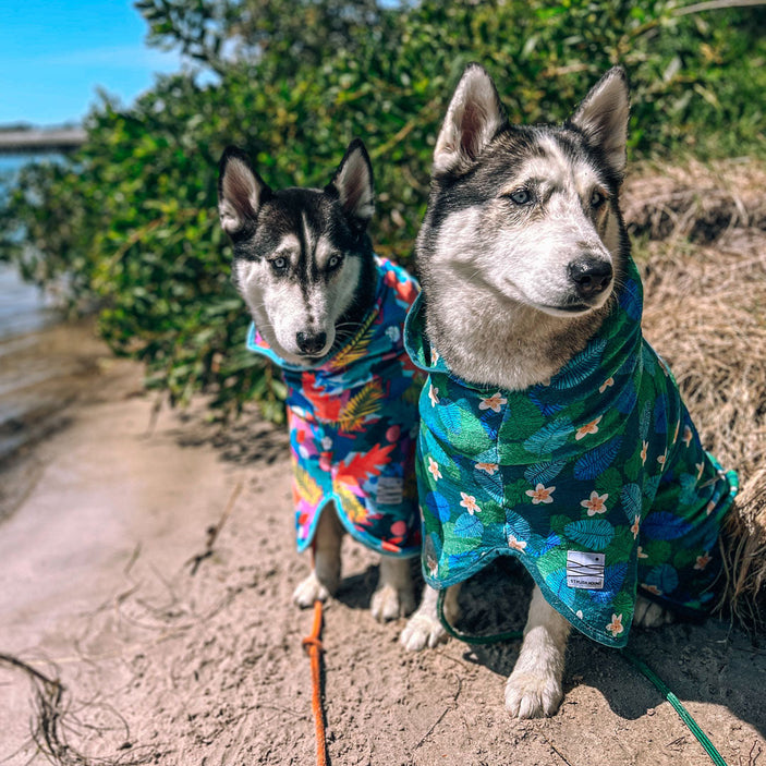 Paradise Dog Robe