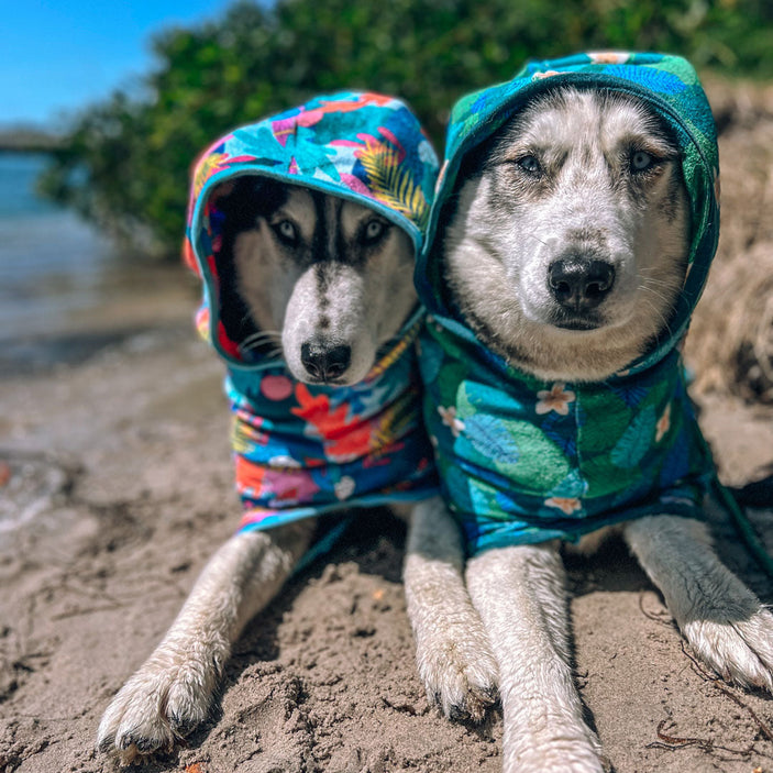 Verano Dog Robe