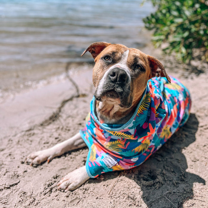 Paradise Dog Robe