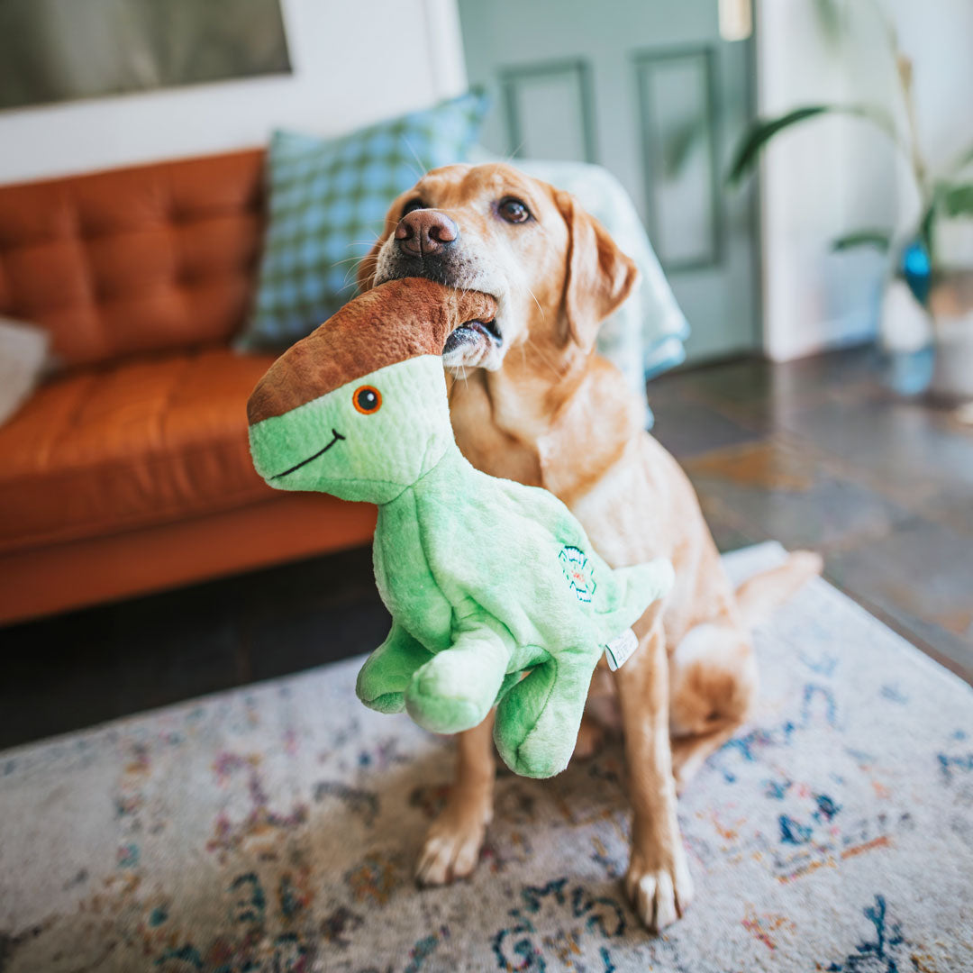 Soft Comforter Patrick the Parasaurolophus