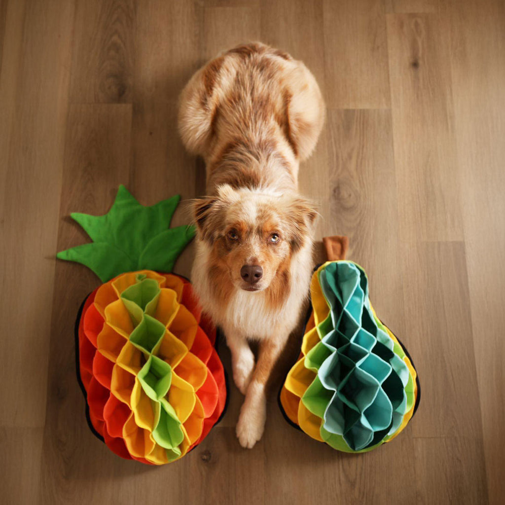 Pear Advanced Snuffle Pad