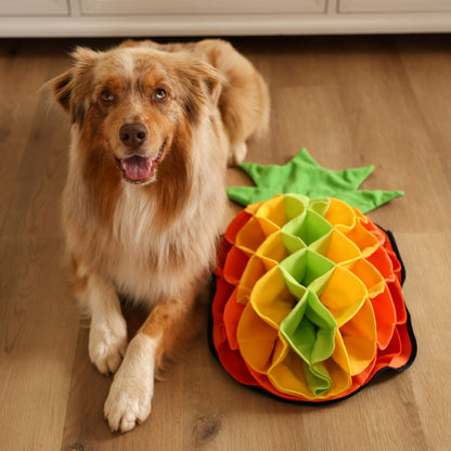 Pineapple Advanced Snuffle Pad