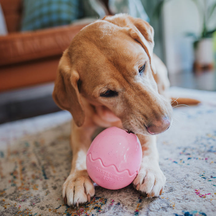 Pink Egg Rubber Food Enrichment Toy