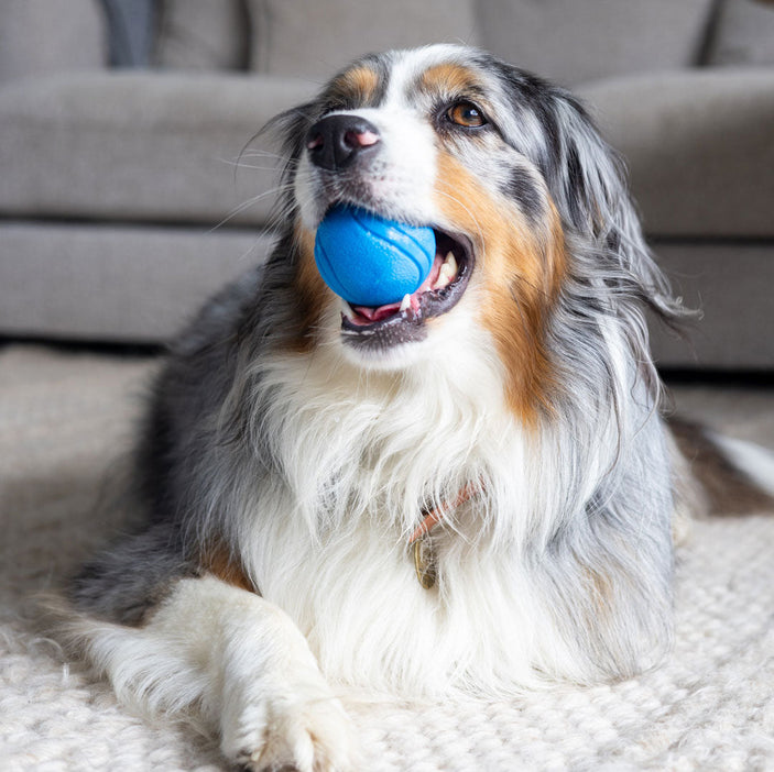 6cm Blue Rubber Tough Ball